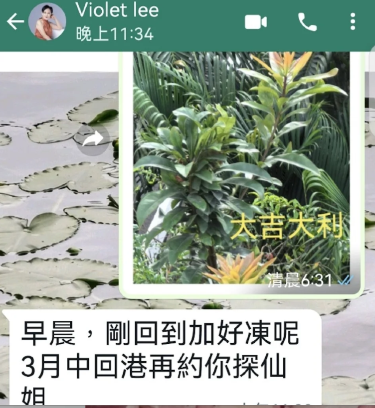 资深花旦去世，与米雪齐名，刘松仁哀悼旧爱