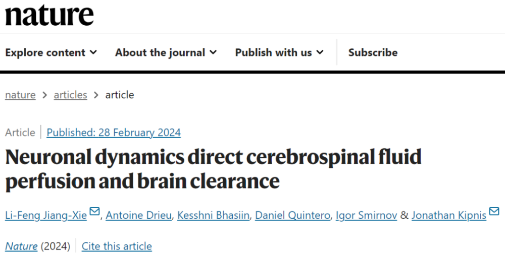 《自然》：科学家首次发现，神经元是大脑“冲洗”废物的主要组织者！