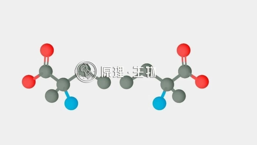 新研究填补生命起源的关键知识空缺，让理论更完整。