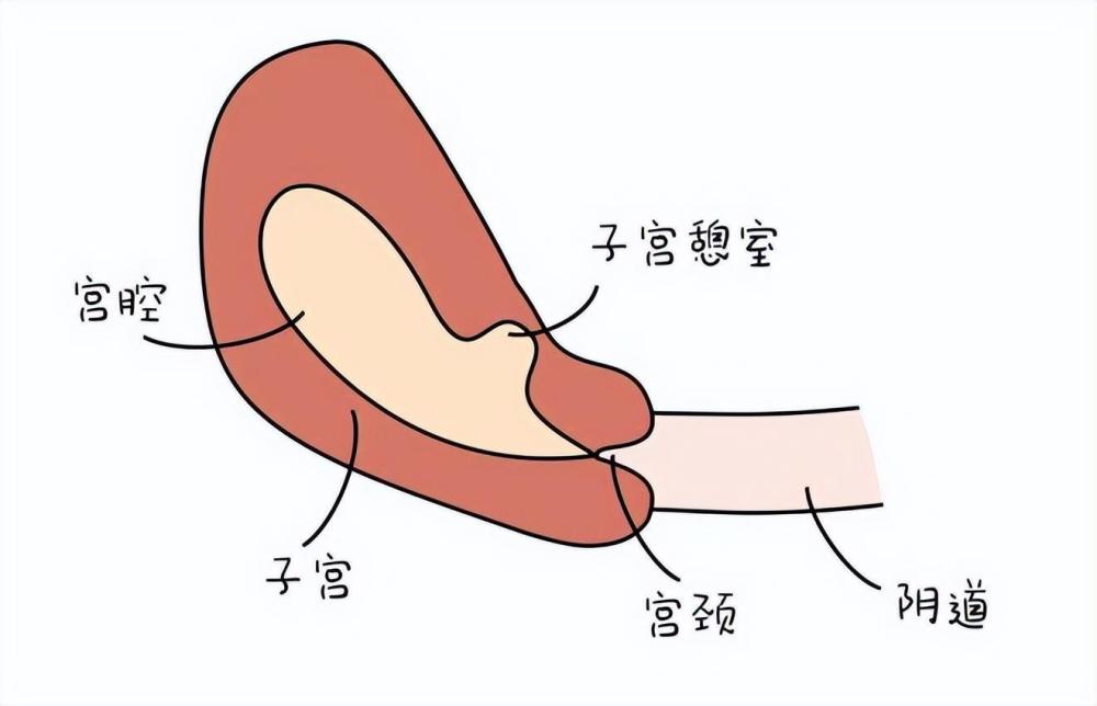 月经刚结束又出血了？4种情况要警惕