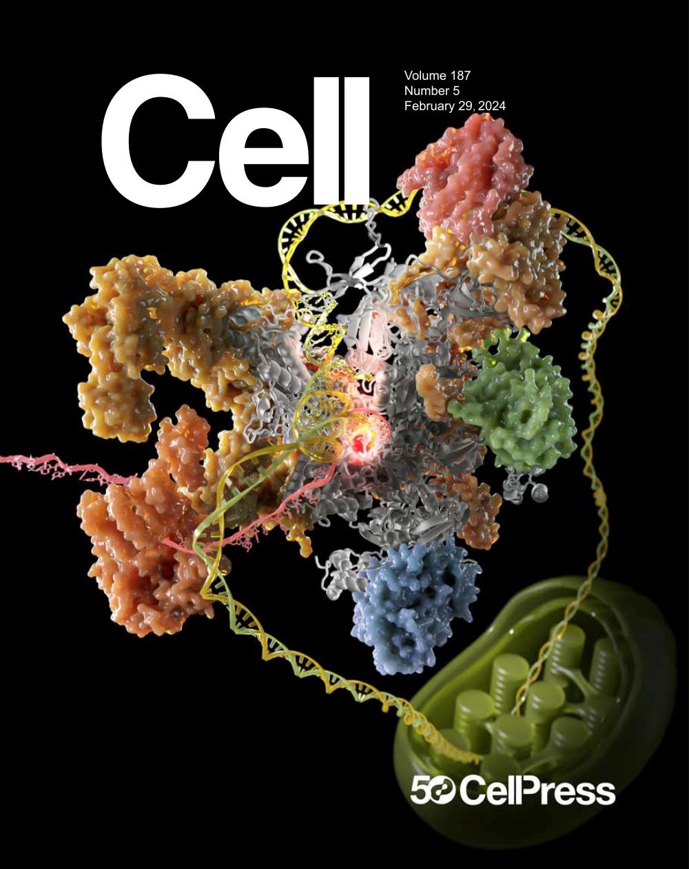 研究近8年“坐穿冷板凳”，中国科学家解析叶绿体基因转录机器构造