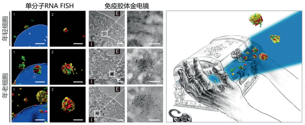 中国科学院5项成果入选“2023年度中国科学十大进展”