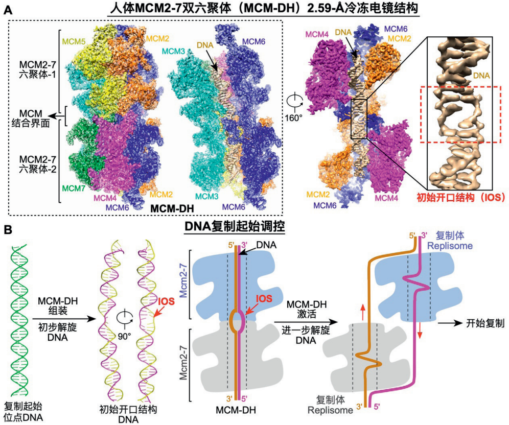 中国科学院5项成果入选“2023年度中国科学十大进展”