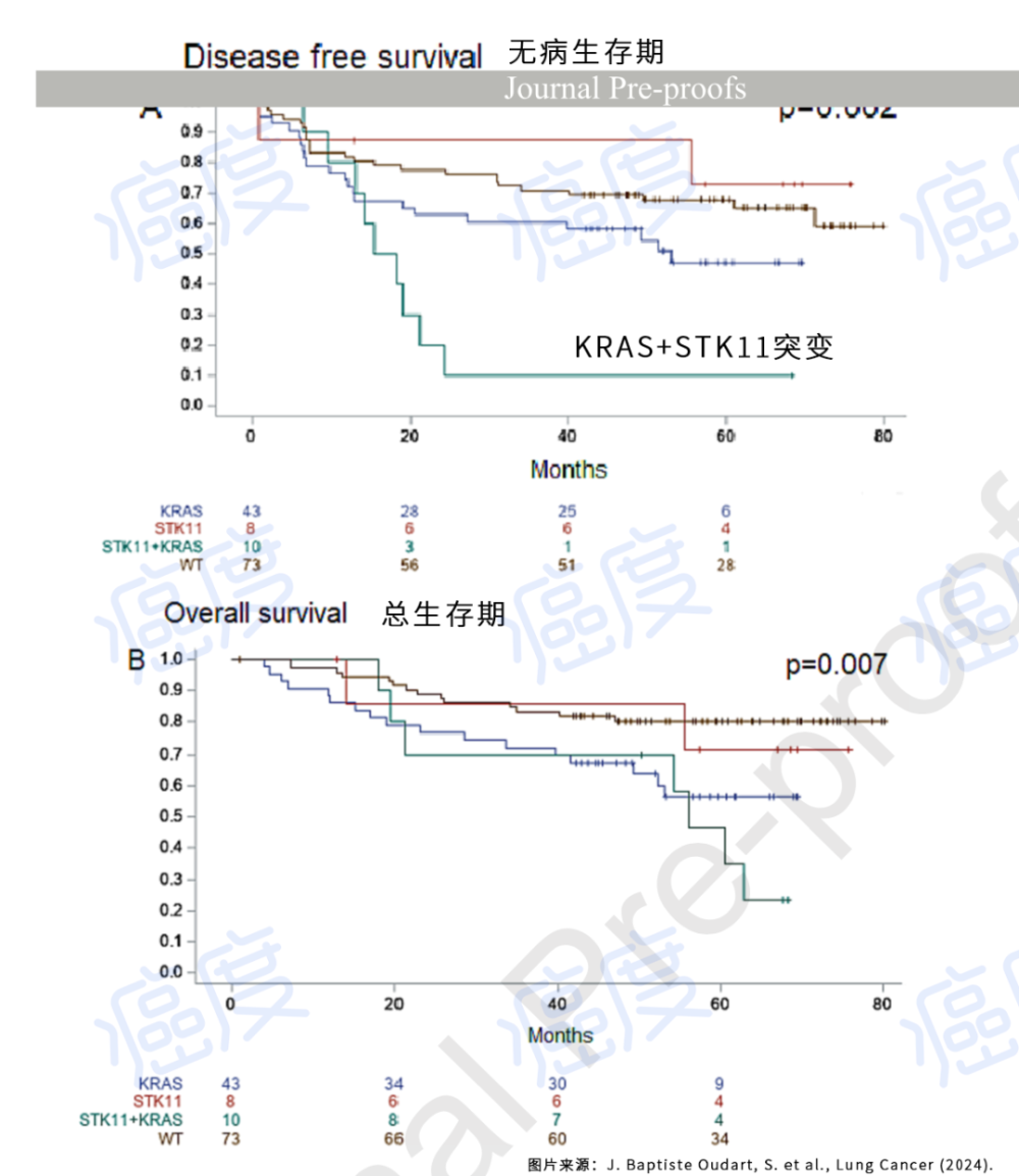 KRAS突变的肿瘤预后如何？STK11/LKB1基因会来捣乱缩短生存期！