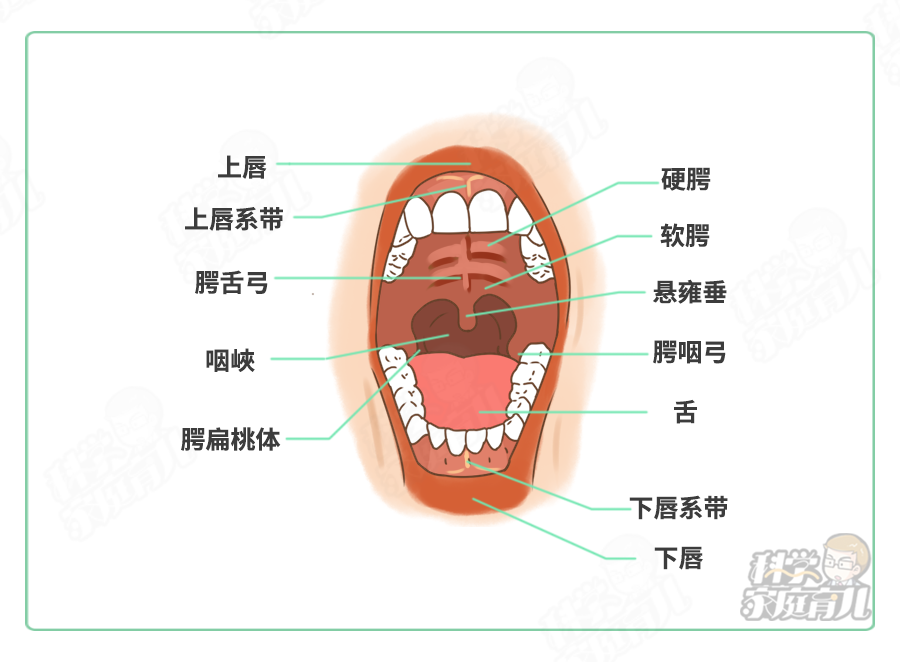 孩子患了疱疹性咽峡炎如何治疗？