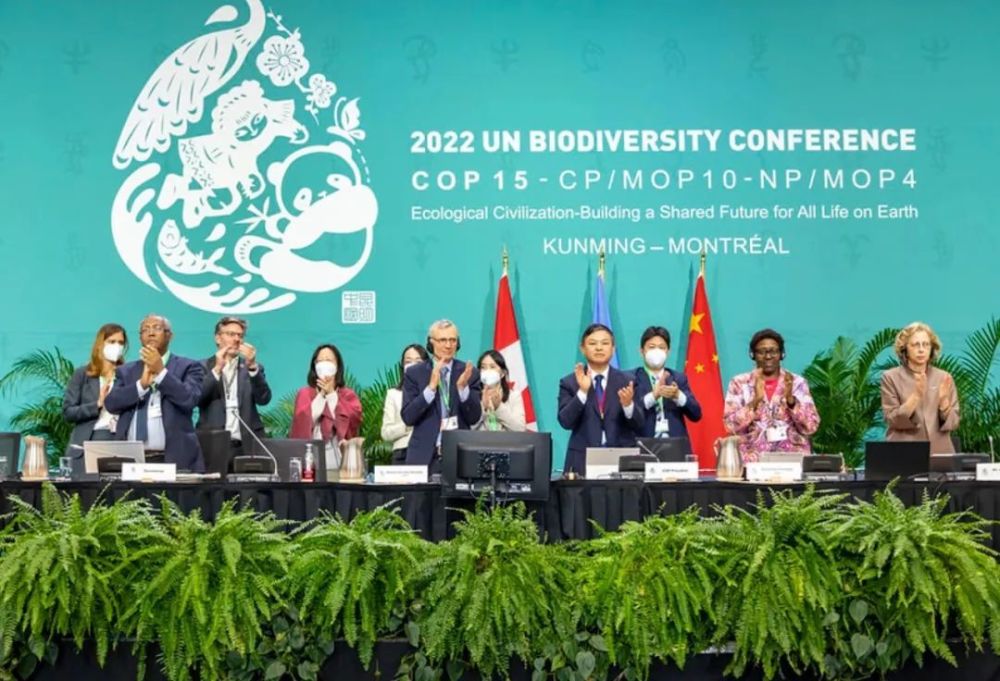 COP16来了！去哥伦比亚赴一场生物多样性之约