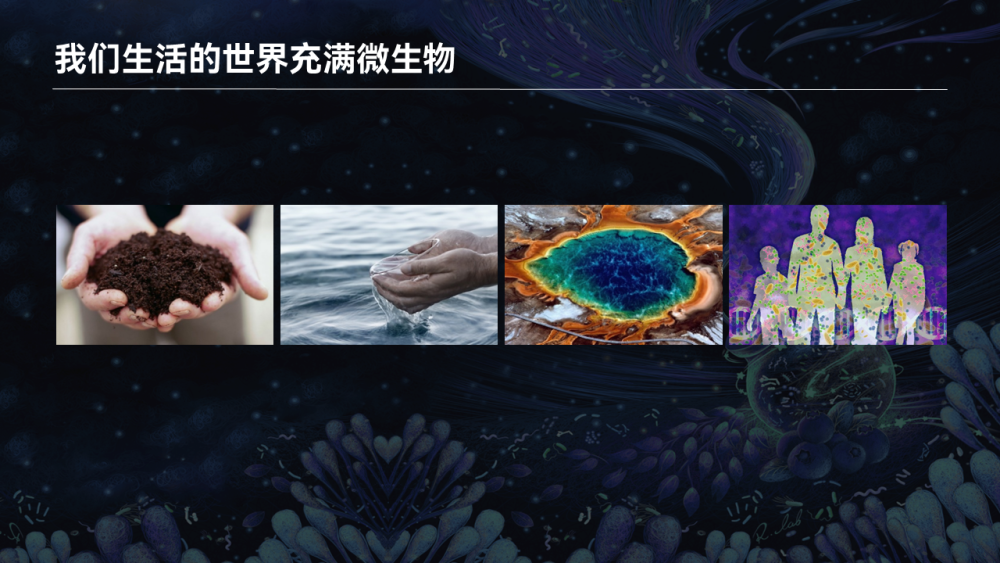 【图文实录】唐啸宇：人体微生物天然小分子