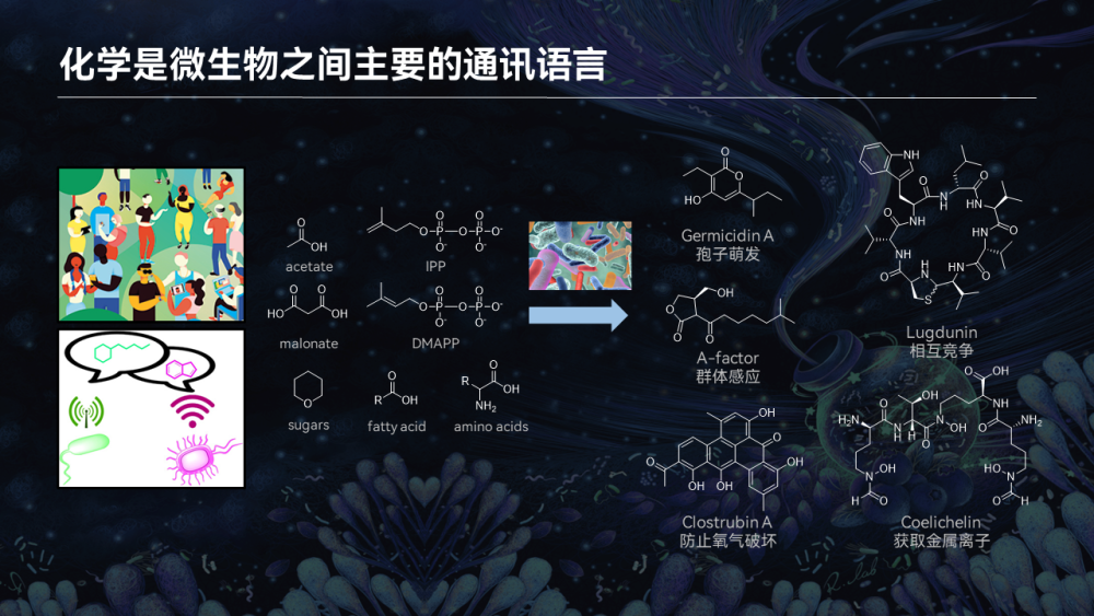 【图文实录】唐啸宇：人体微生物天然小分子