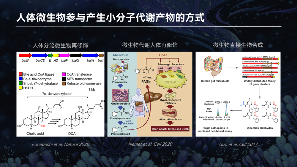 【图文实录】唐啸宇：人体微生物天然小分子