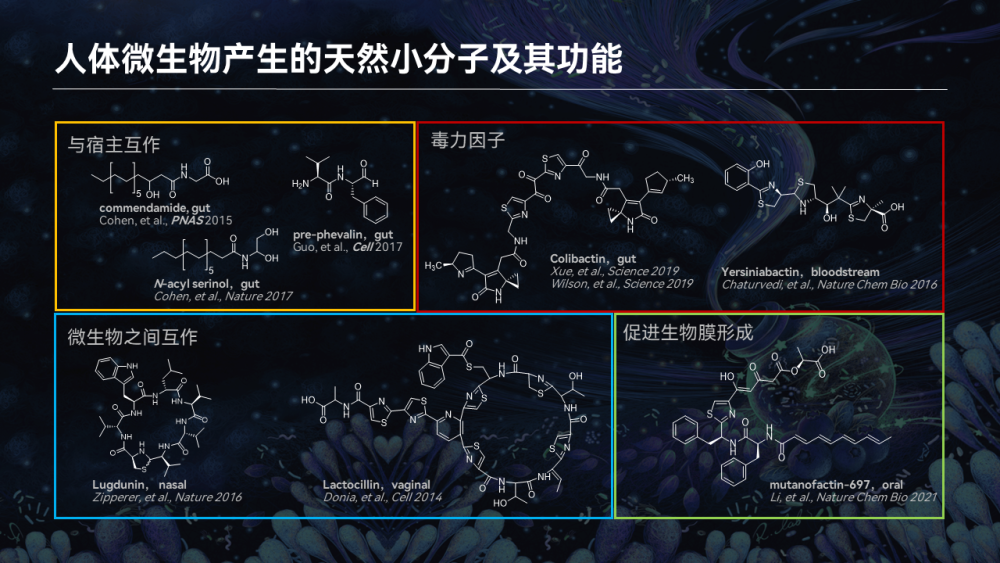 【图文实录】唐啸宇：人体微生物天然小分子