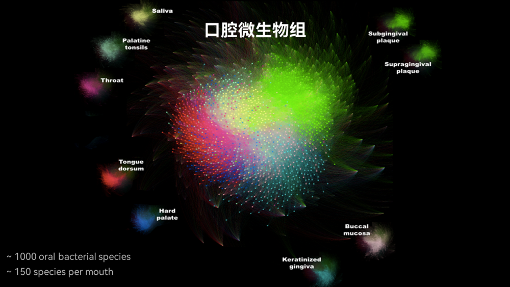 【图文实录】唐啸宇：人体微生物天然小分子