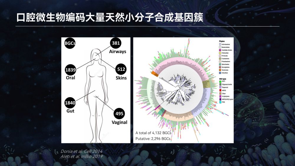 【图文实录】唐啸宇：人体微生物天然小分子