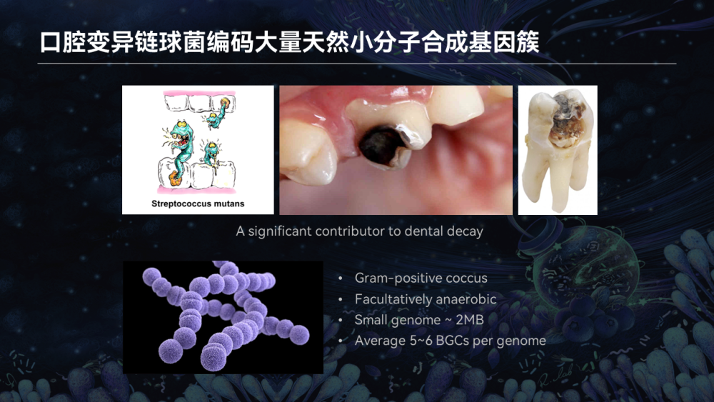 【图文实录】唐啸宇：人体微生物天然小分子