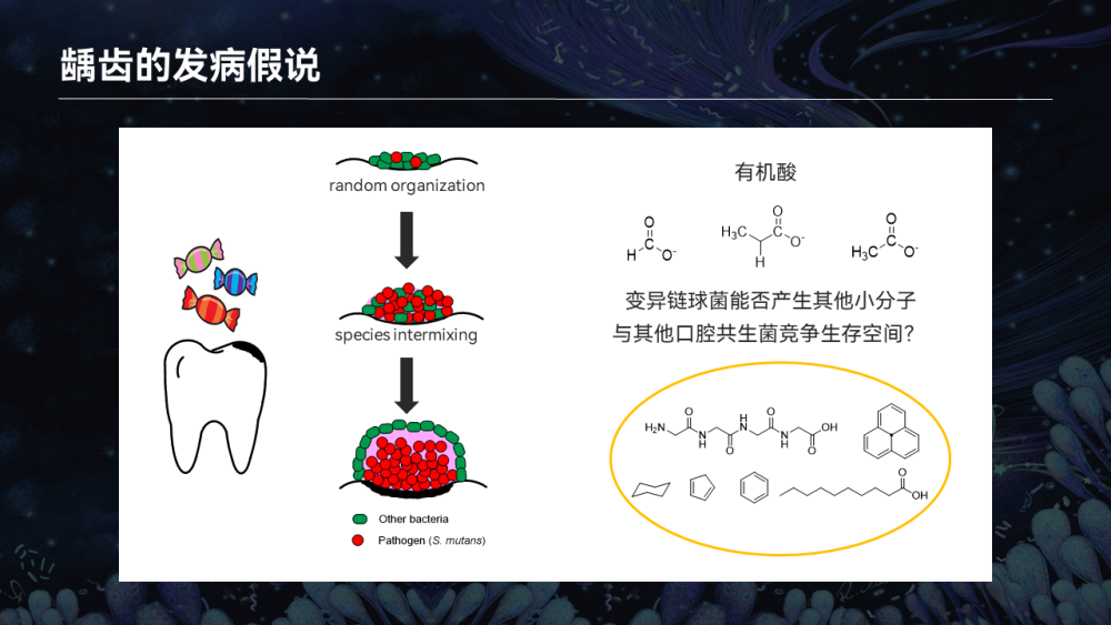 【图文实录】唐啸宇：人体微生物天然小分子