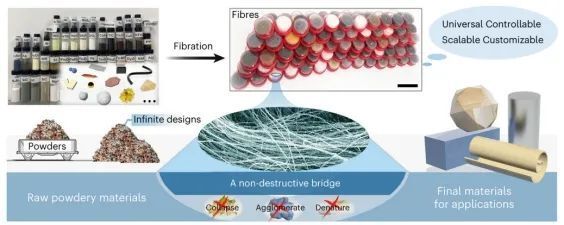 突破！浙江农林大学，首篇Nature Materials！