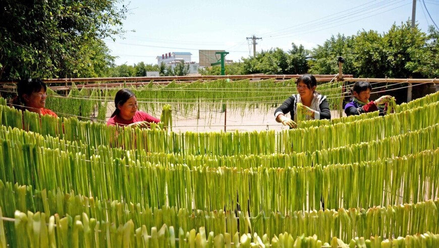 原来贡菜就是莴笋干！两者有何不同？