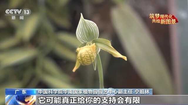 让100多种植物扎根岭南大地，他在调研与实验中找到答案