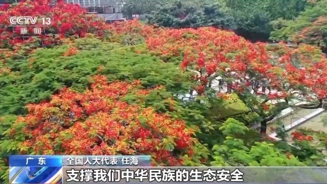 让100多种植物扎根岭南大地，他在调研与实验中找到答案