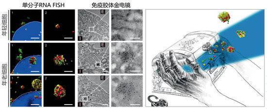 2023年度“中国科学十大进展”发布 两院院士把票投给了它们