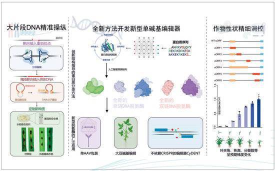 2023年度“中国科学十大进展”发布 两院院士把票投给了它们