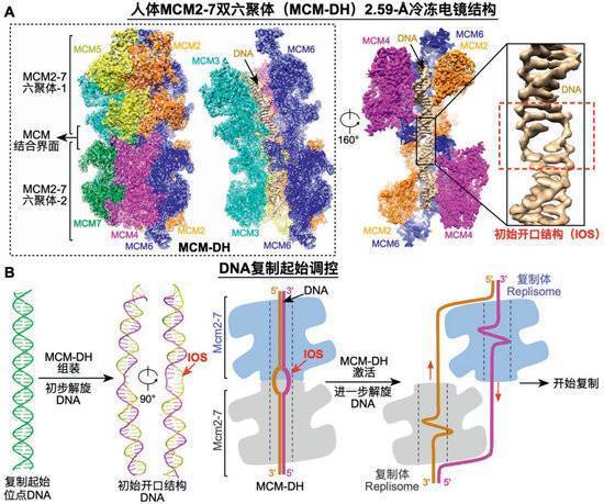 2023年度“中国科学十大进展”发布 两院院士把票投给了它们