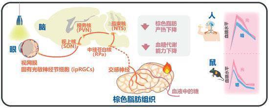 2023年度“中国科学十大进展”发布 两院院士把票投给了它们