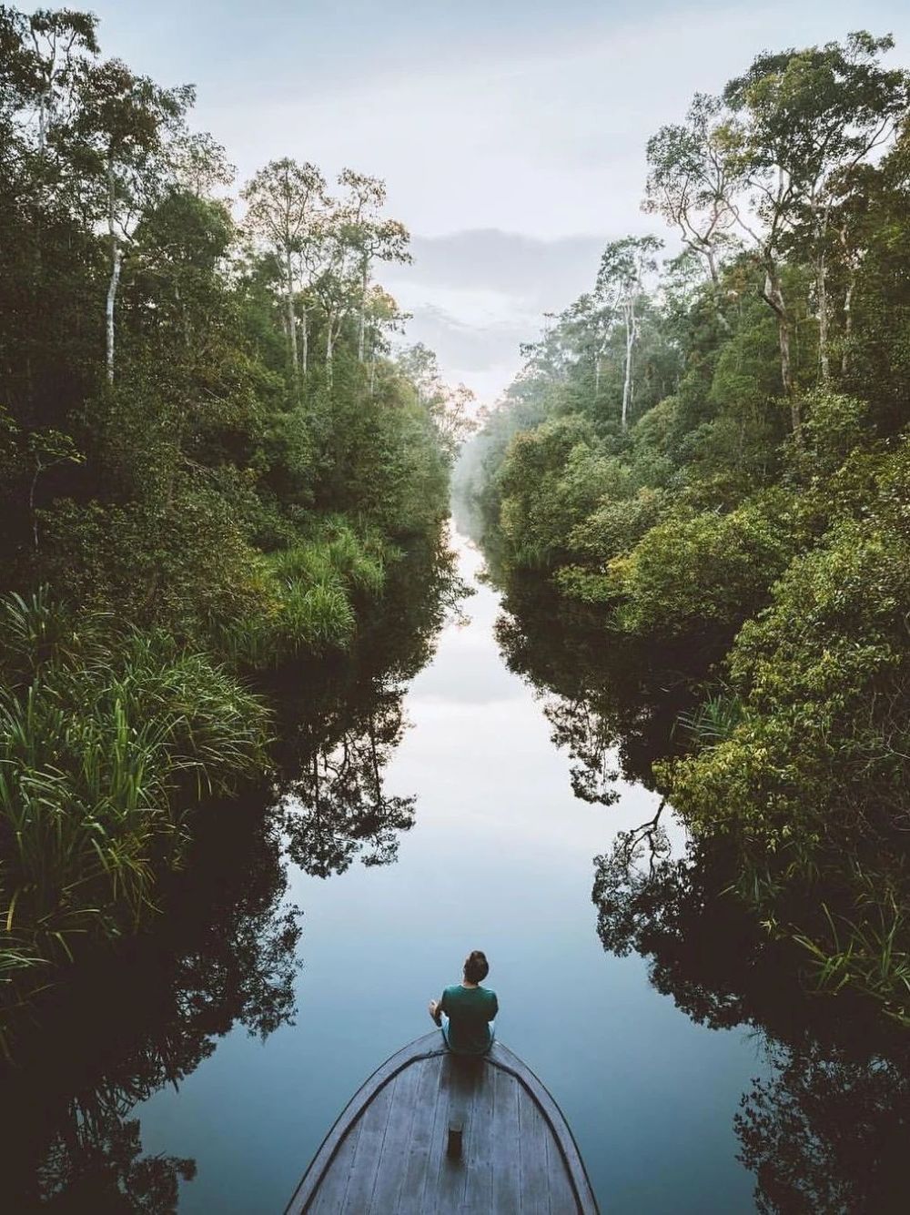 全球生物多样性最高的国家你能猜中几个？来这九处热门旅行地亲近野性大自然