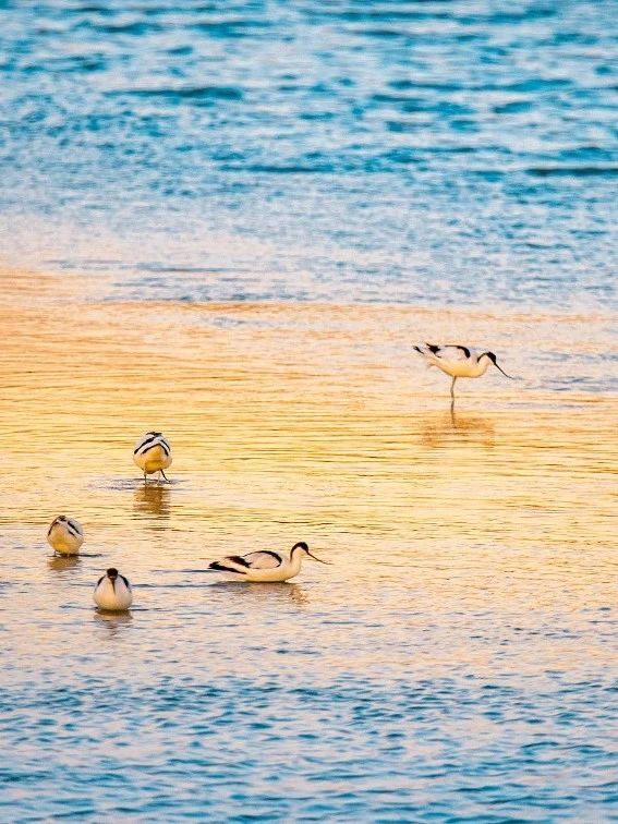 全球生物多样性最高的国家你能猜中几个？来这九处热门旅行地亲近野性大自然