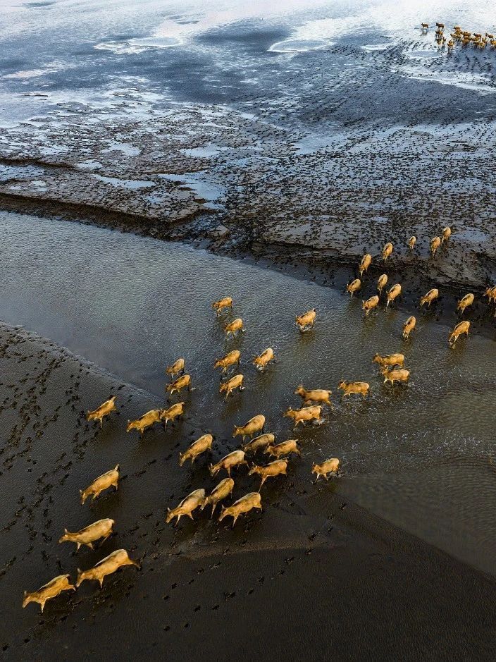 全球生物多样性最高的国家你能猜中几个？来这九处热门旅行地亲近野性大自然