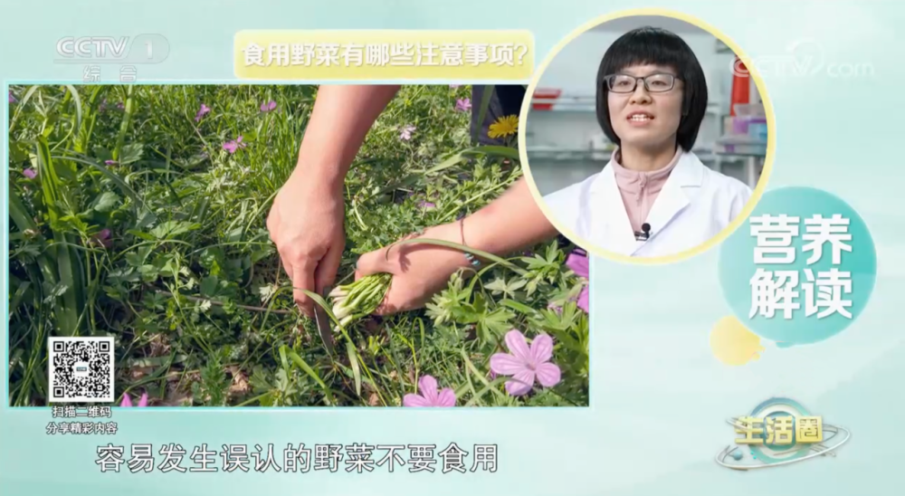 春天哪些野菜值得吃？怎样烹饪营养价值高？了解一下