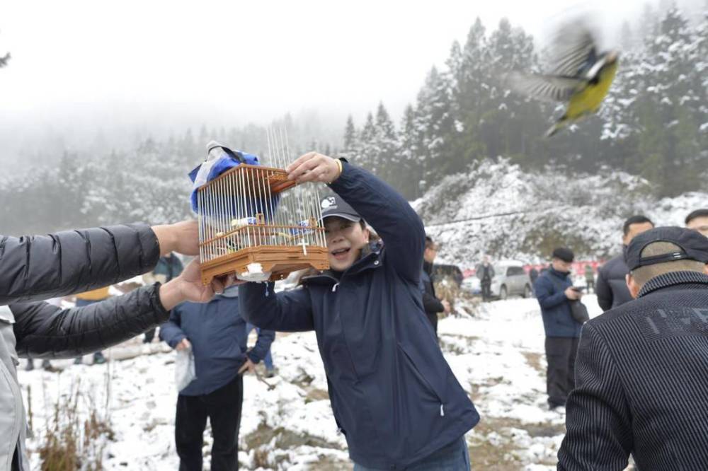 普通鵟、猴面鹰、黄腹山雀  16只被救助野生动物重返蓝天丨世界野生动植物日