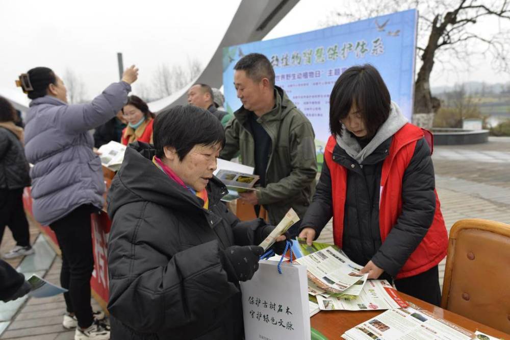 普通鵟、猴面鹰、黄腹山雀  16只被救助野生动物重返蓝天丨世界野生动植物日