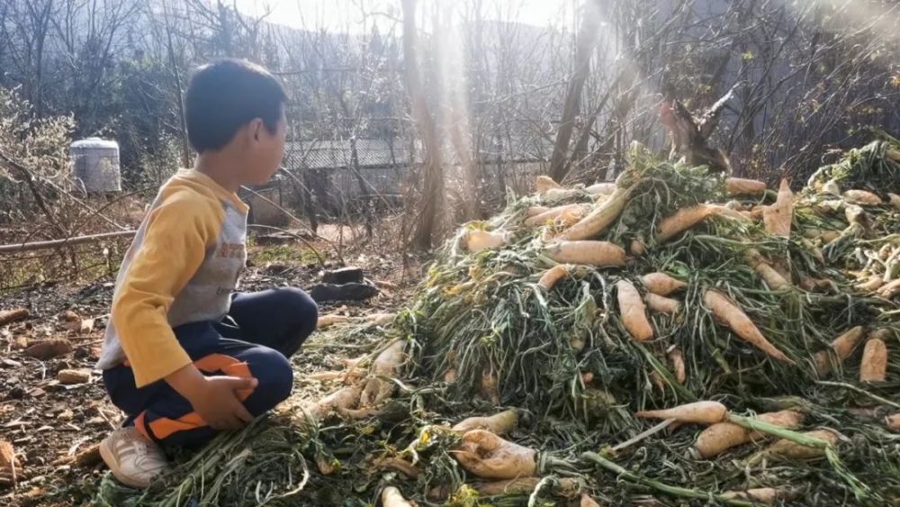 单亲妈妈将孩子丢给老父母外出打工，儿子每天在门前守望：好想妈妈