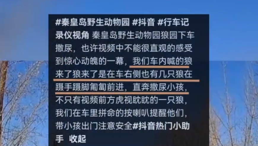 警报！动物园里游客带孩子下车，后车狂按喇叭，景区回应详情。