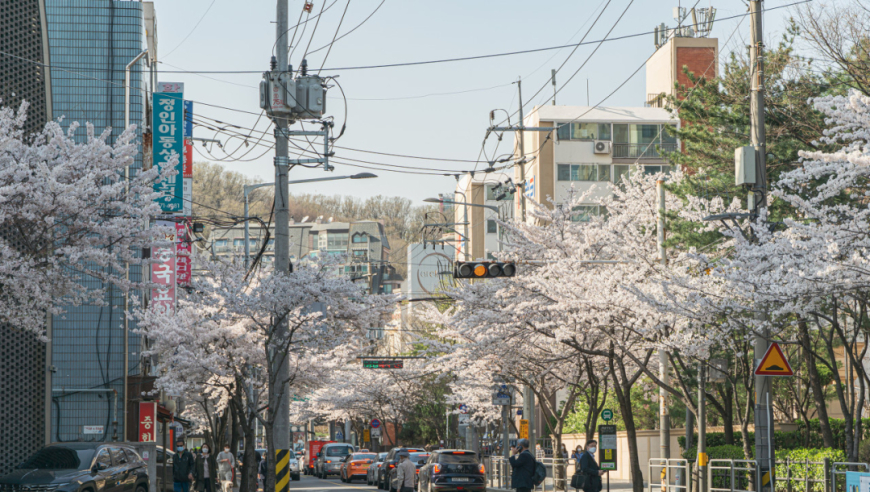 守护2500点：韩国股市十年原地踏步的奥秘