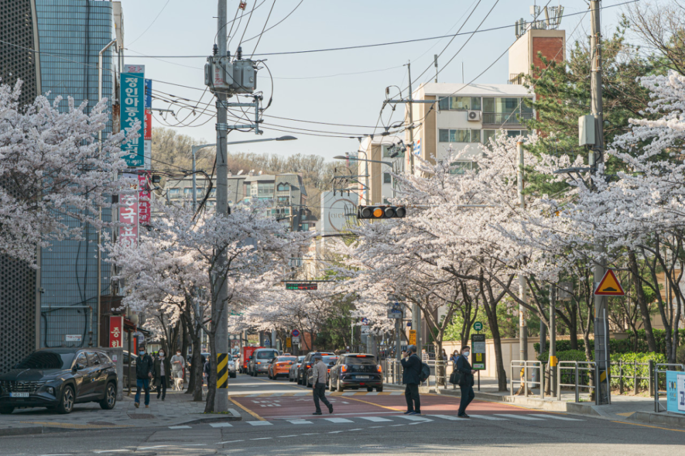 保卫2500点：韩国股市十年不涨之谜