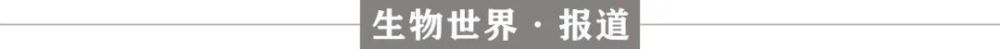 《柳叶刀》：全世界肥胖人数超10亿，中国儿童青少年肥胖率相当严重