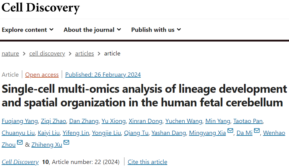 Cell Discov | 周文浩/米达/许执恒等合作通过多组学的方法，描绘了人类小脑的发育图景