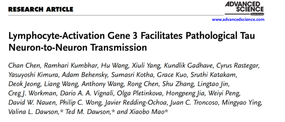 Advanced Science：免疫检查点LAG-3竟是tau蛋白种子传播的载体！
