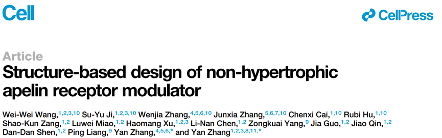 浙大学者Cell发文：基于结构精准设计、有望改善心血管疾病的Apelin受体调节剂