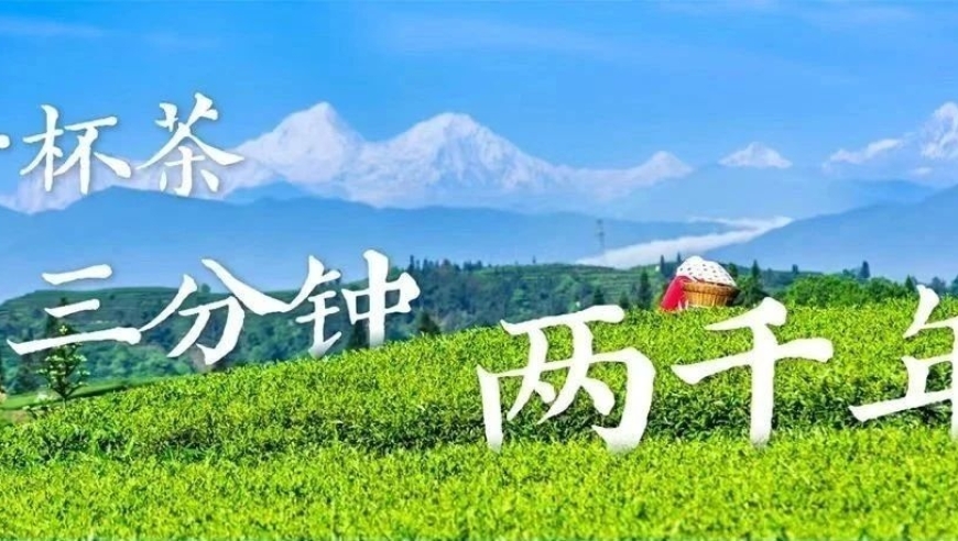 中国茶，如何引领全球饮茶潮流？