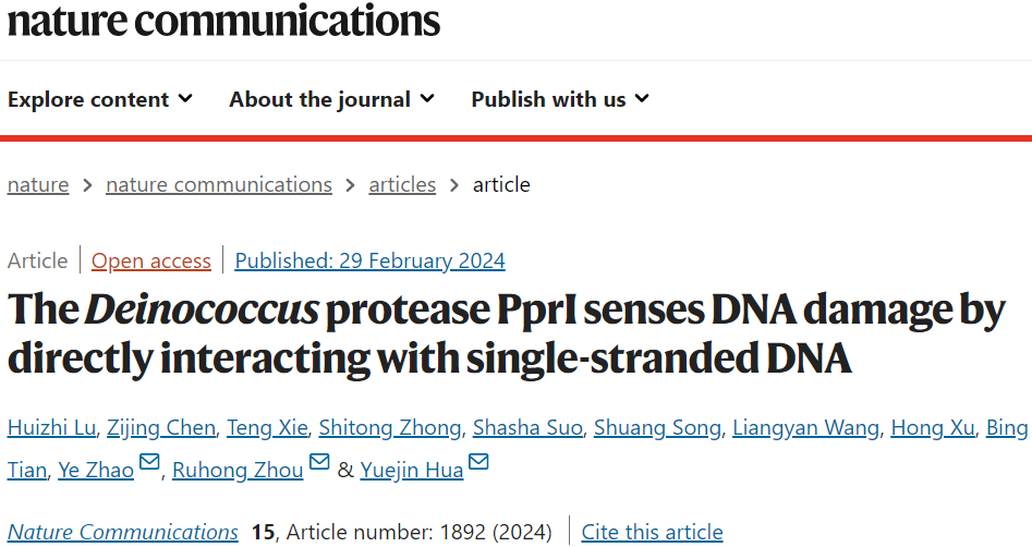 Nat Commun | ​浙江大学华跃进/周如鸿/赵烨鉴定DNA损伤传感器并揭示新型DNA损伤响应激活机制