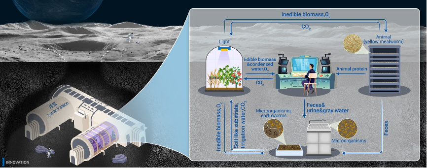 The Innovation | 构建月面人工生态系统，保障人类长期驻月生存