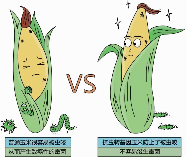 转基因作物不仅可以造福人类，种植转基因作物还能带来效益