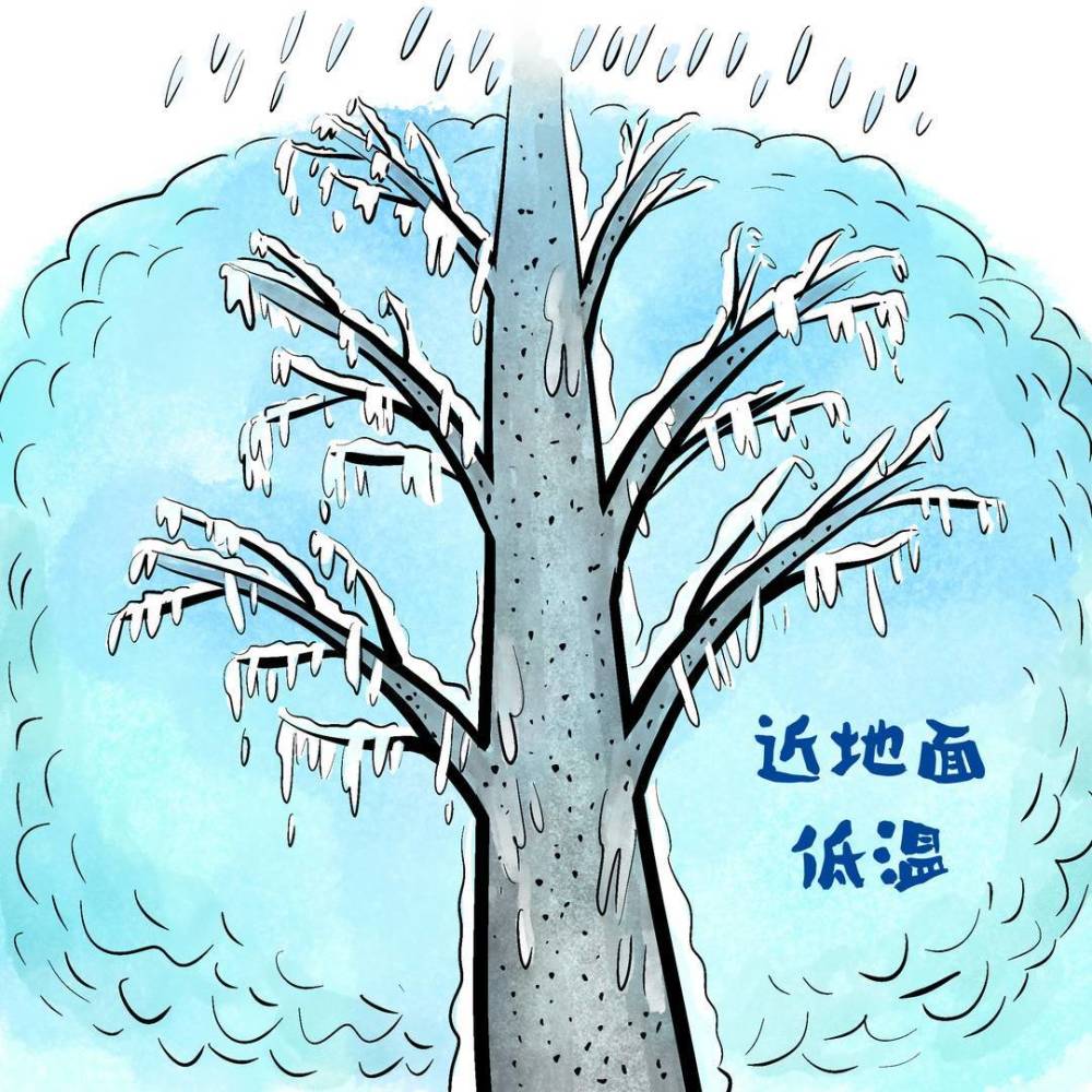 画说热点 | 冻雨的危害比暴雪还大