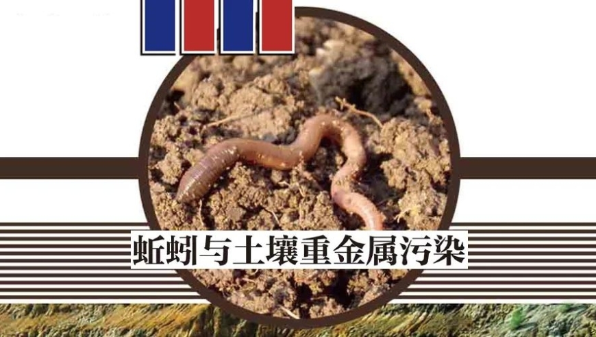 蚯蚓与土壤重金属污染：小小生物，大大影响！