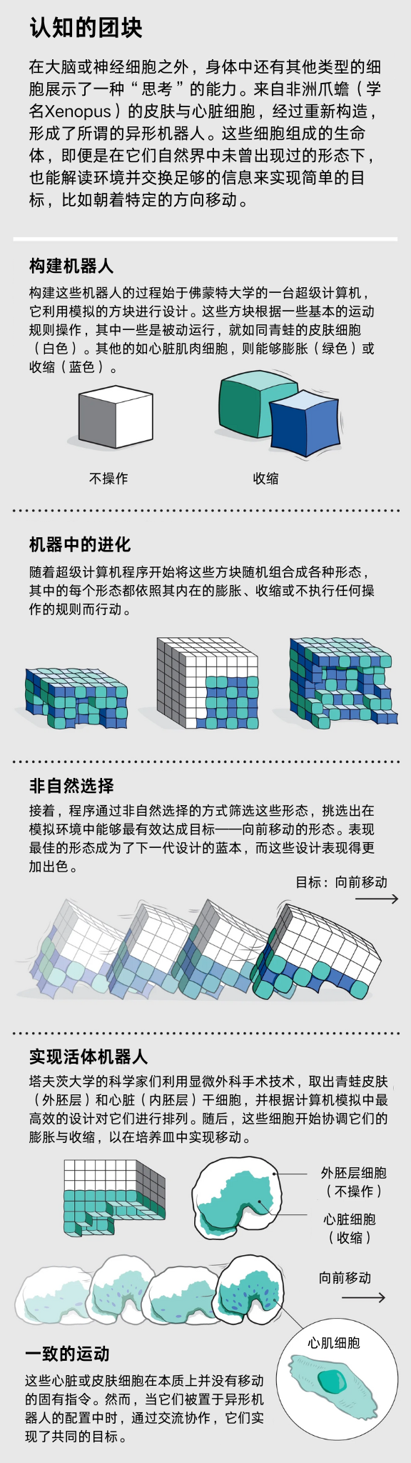 切成两半后也能学习：我们对智能的理解真的正确吗？| 追问观察