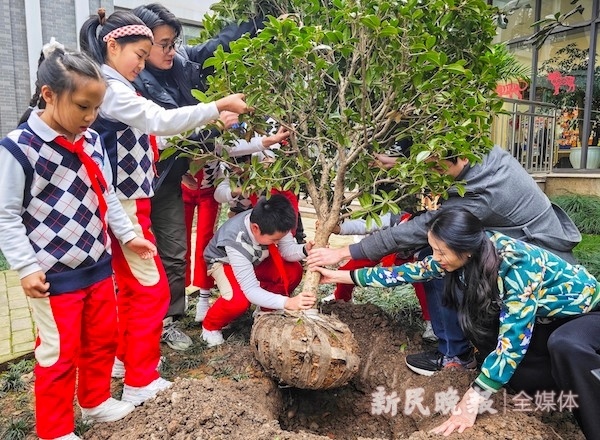 这个春天，打一小学的孩子们在树爷爷身边种下一株树宝宝