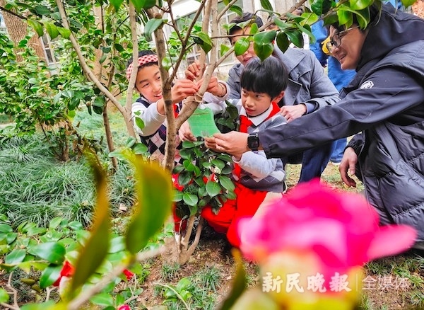 这个春天，打一小学的孩子们在树爷爷身边种下一株树宝宝