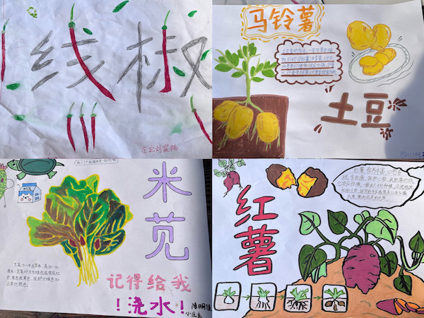 这个春天，打一小学的孩子们在树爷爷身边种下一株树宝宝